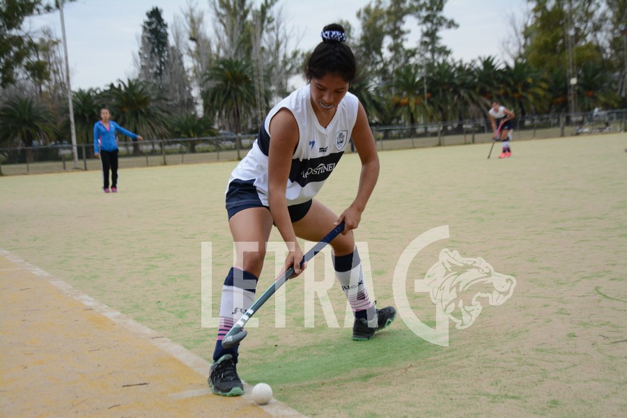 VAN POR VILO